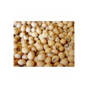 High Quality Organic Non-GMO <b>Soybean</b> Dried Style Bulk Packaged for Sale - Product Image 2
