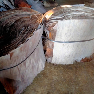 ใบตองแห้งและสดส่งออกวัสดุเกรดอาหารสำหรับการจัดเก็บแช่แข็ง - Product Image 1