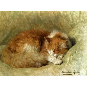 8x6 Gato durmiente Accent Tile Mural Cocina Baño Pared Backsplash Murales Categoría de producto - Product Image 1