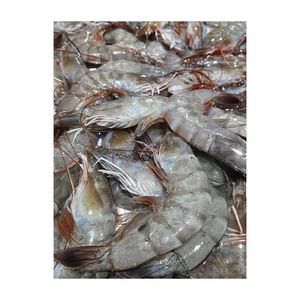 Crevettes blanches surgelées, achetez Crevettes blanches surgelées 100% - Product Image 1