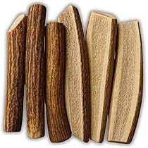 Cornes de cerf roux 100 % de haute qualité, à vendre - Product Image 5