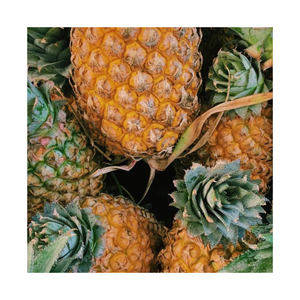 ผู้จำหน่ายสับปะรดแช่แข็ง Iqo ชั้นนำ-สินค้าคุณภาพสูงจากเวียดนาม - Product Image 4