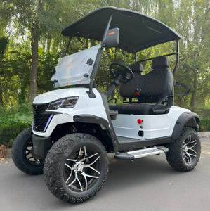 Auténtico Buggy Todoterreno de Lujo de 4 Plazas, 72V 5KW, Carro de Golf Eléctrico, Certificado por DOT y CE, Acero, 50-70 km/h - Product Image 1