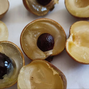 ขายชาลำไยตากแห้งผลไม้อบแห้งจากเวียดนาม - Product Image 1