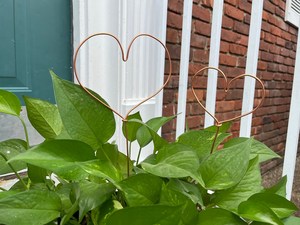 Bâtons de jardin en cuivre de luxe en forme de coeur pour les projets de jardinage à domicile et les éléments décoratifs au meilleur prix - Product Image 4