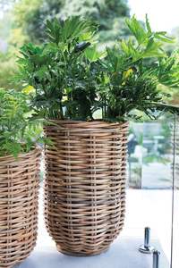 Elegant Rattan and Iron Planter <b>Pot</b> Display Rack for Home Indoor and Outdoor Use Floor Usage <b>Plant</b> <b>Stand</b> for Planting - Product Image 3