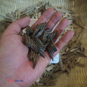 100g Agarwood Tiger Oud Quemador de incienso Difusor de aromaterapia de Vietnam-Descubra propiedades terapéuticas a través de la quema - Product Image 3