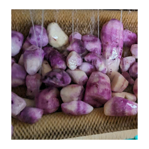 Exportador de ñame congelado de Vietnam, fabricante confiable, precio competitivo, entrega rápida, suministro a largo plazo garantizado - Product Image 1