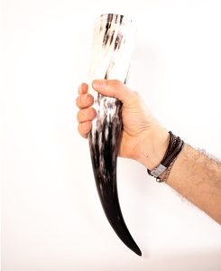 Corne de buffle et de boeuf polie de style viking pour whisky et bière corne de style animal à vendre - Product Image 4