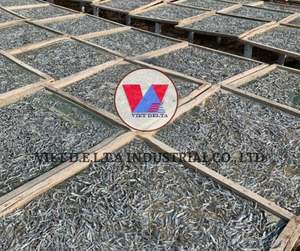 PROVEEDOR VIETNAMITA DE ANCHOVAS SECAS CON PRECIOS COMPETITIVOS/ MINA +84325608680 - Product Image 6