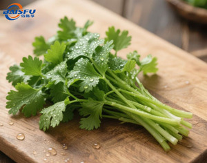 <span class=keywords><strong>รส</strong></span>ชาติอาหาร BAISFU <span class=keywords><strong>รส</strong></span>ผักชี สำหรับเครื่องปรุงรสและขนมขบเคี้ยว - Product Image 4