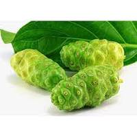 Huile de graines de noni