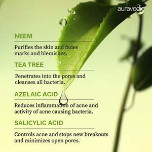 Mascarilla Facial Herbal para Eliminar el Acné en Crema, Tratamiento Natural para el Acné - Product Image 4