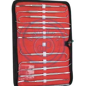 Offre Spéciale nouveau 12 pièces Sinus Lift Instruments ensemble IMPLANT dentisterie dentaire Instruments à Double extrémité norme allemande DADDY D PRO CE - Product Image 2