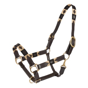 Licol en cuir de cheval brun personnalisé de haute qualité, accessoires en laiton, style anglais durable, utilisation équestre, prix compétitif - Product Image 1