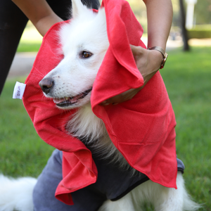 Serviette de bain pour chien en microfibre à motif solide 60x90cm forme rectangulaire absorbante et légère fabriquée en Turquie - Product Image 3
