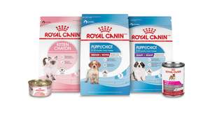 Maxi Starter Royal canine Maxi Starter/อาหารลูกแมวสุนัขพันธุ์ rhoyal - Product Image 2