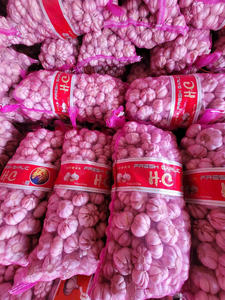 Ajo Seco Vietnamita Único de An Giang 100% Natural 12 Meses de Vida Útil Listo para Usar para Exportación al por Mayor - Product Image 6