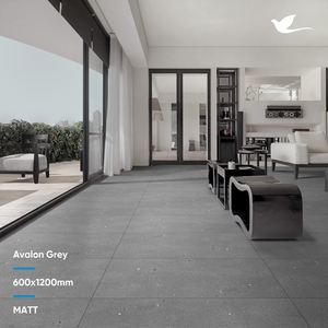 Carrelage de sol Céramique Gris foncé Mat Surface 600x1200 Porcelaine antidérapante Couleur blanche Corps entier Carreaux de céramique de l'Inde Résistant à la chaleur antidérapant - Product Image 2