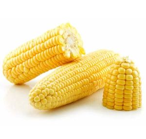 High Quality 100% Natural Vegetable Yellow <b>Sweet</b> Freeze Dried Corn Maize China FD ProcessType Vacuum Packed Bulk - Product Image 2