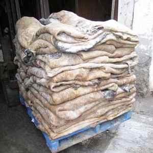 Wholesale Supplier Bulk Stock Organic Split Raw Wet Salted Dried Cow Hides/Skins for Handbag <b>Belt</b> Shoes Furniture Fast Shipping - Product Image 6