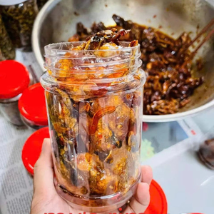 Fournisseur direct d'usine de calmar séché glacé à la tamarin, fournisseur de collations de fruits de mer, Vietnam ANGLE - Product Image 1