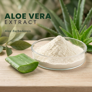 Poudre d'extrait d'aloe vera (Aloe Barbadensis) fine, testée anti-UV, qualité alimentaire pour les formules de soins de la peau, des cheveux et des soins personnels - Product Image 2