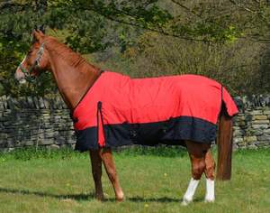 Hoja de lluvia ligera de 100g y cero 0g-Alfombra impermeable 600d Turnout Horse - Product Image 2