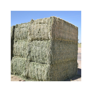 Low Price Alfalfa Hay High Fiber Feed Bulk Supply Factory Price Farm Grade Product - Product Image 6