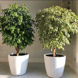 รูปปั้นชาวไร่โลหะทำด้วยมือหรูหราในสไตล์โบราณสีดำเงาสีเงินและสีทองสำหรับตกแต่งบ้าน - Product Image 1