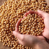Soja canadien biologique pur de haute qualité emballé en vrac fèves de soja séchées en vente au prix de gros bon marché