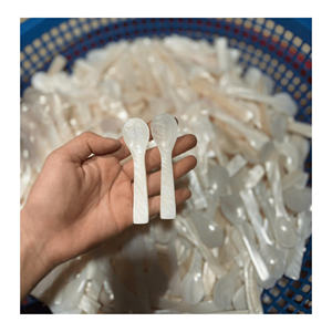 Vaisselle créative Conch Spoon idéale pour le style de buffet de fruits de mer et la présentation de la table à manger de l'hospitalité Conch Spoon - Product Image 1