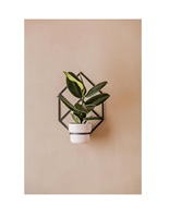 Pots de fleurs et jardinière faits à la main en forme de triangle de couleur blanche pour accrocher la dernière arrivée matériel de haute qualité approvisionnement de décor de jardin