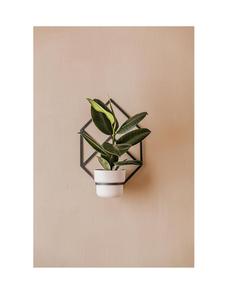 Macetas y macetas hechas a mano con forma de triángulo de Color blanco para colgar, última llegada, Material de alta calidad, suministro de decoración de jardín - Product Image 6