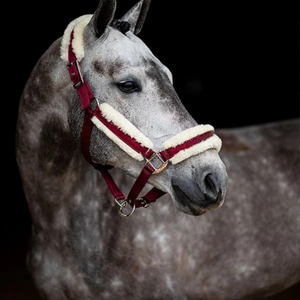 Bride de cheval en cuir fabriquée à la main dans le style de selle anglaise conçue pour la durabilité et la performance de confort dans divers extérieurs - Product Image 5