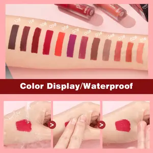 Matte flüssiger Lippenstift Eigenmarke wasserdichter langanhaltender matter individueller flüssiger Lippenstift