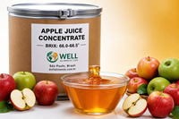 WELL ALIMENTS Concentrado de Zumo de Naranja Recién Exprimido 66 Brix Origen Sao Paulo 100% Puro Congelado Barril de 262 L