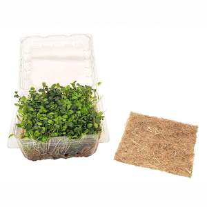 แผ่นใยมะพร้าวอัด สำหรับปลูกไมโครกรีน ทำสวนในบ้าน ทำฟาร์ม ผลิตในเวียดนาม - Product Image 4