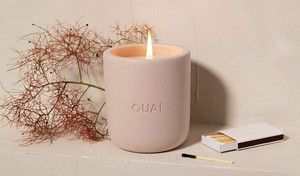 Top Selling 2025 Coconut Shell Tea Light Holder/ Coconut Shell Candle Holder / Coconut Shell Bowl for Candle Made in Vietnam - Product Image 4