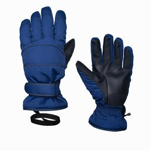 Gants de ski imperméables d'hiver Gants de ski de plein air d'usine OEM 3M Thinsulate Gants d'hiver à écran tactile - Product Image 1