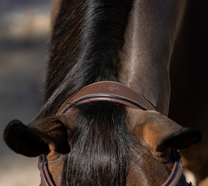 Bride de cavalier anatomique exportation Style supérieur Bride inégalée Abordable Rênes en caoutchouc Acier inoxydable Luxe - Product Image 6