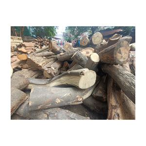 Wholesale Price High Quality Pine Wood <b>Logs</b> Teak and Eucalyptus Round Pattern Timber Sale of Pine Wood <b>Logs</b> at <b>Cheap</b> Price - Product Image 2
