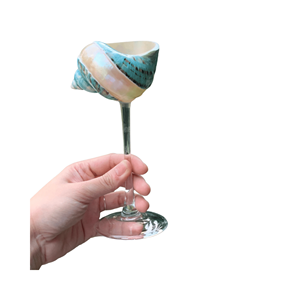 Seashell Glass Handicraft display mug, material: ocean shell; use: retail decor setups; origin: Vietnam craft workshop - Product Image 5