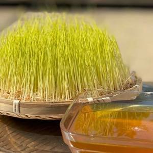 MALTOSE DU VIETNAM DE QUALITÉ SUPÉRIEURE/SIROP NATUREL/HAUTE VISCOSITÉ/PRÊT POUR L'APPLICATION ALIMENTAIRE - Product Image 2