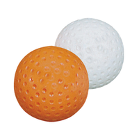 Ballons de hockey miniatures souples en plastique de qualité supérieure pour enfants, en mousse souple, pour entraînement et matchs en extérieur, couleur personnalisable, bien-être des travailleurs