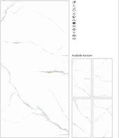 Elégant abat-jour blanc romain 800x1600mm porcelaine grande dalle carreaux 9mm d'épaisseur avec surface polie meilleur produit de qualité