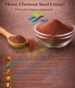 Extracto de Semilla de Castaño de Indias (Aesculus hippocastanum) Aescina 60% CAS 6805-41-0 Estandarizado, Suministro Directo de Fábrica HGO - Product Image 3