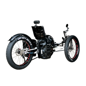 จักรยานสามล้อแบบเอนนอนสำหรับผู้ใหญ่ ยางใหญ่ ล้อโต แรงต้านทานการหมุนต่ำ เหมาะสำหรับปั่นบนหิมะ - Product Image 2