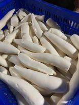 Yuca congelada/yuca congelada cruda con calidad de exportación y precio competitivo de Vietnam - Product Image 2