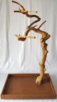 VENTE FLASH - Fournisseur direct d'usine - Bâton à mâcher pour chien en bois de caféier naturel et résistant, bois de Java, racine à mâcher pour chien, lotus bleu